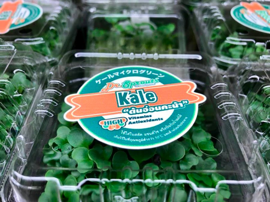 Close-up of a labelled Dr.Sprouts kale microgreens pack