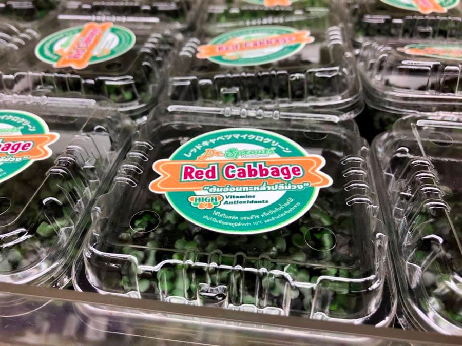 Close-up of a labelled Dr.Sprouts red cabbage microgreens pack