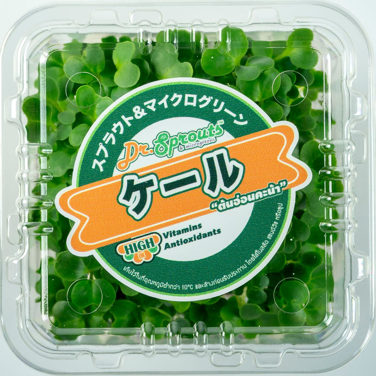 Kale Microgreen