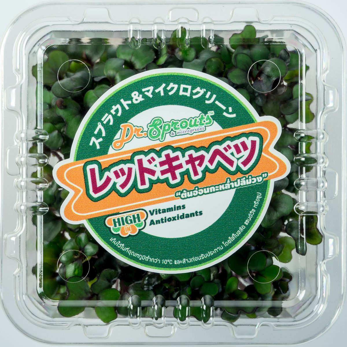 Red Cabbage Microgreen
