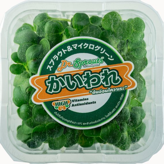 Red Kaiware (Red Radish Microgreen)