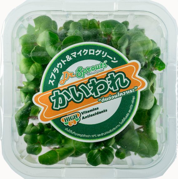 White Kaiware (Daikon Radish Microgreen)