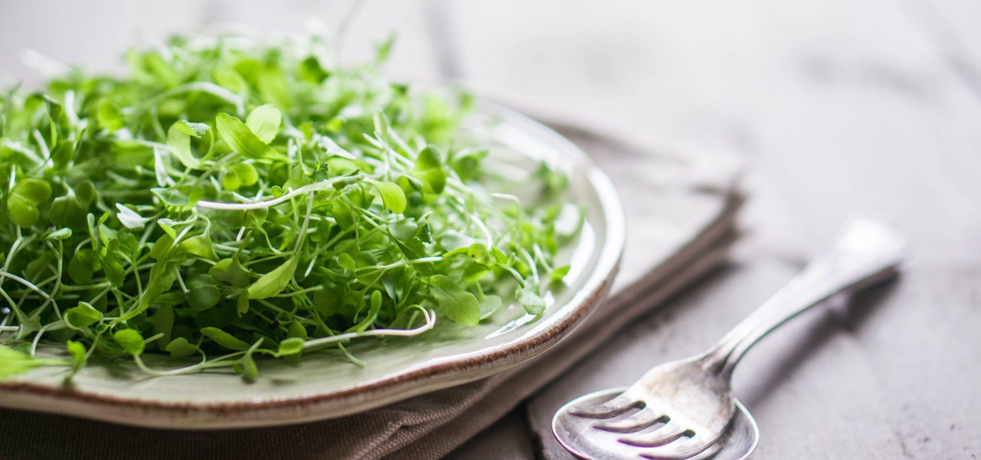 Microgreen on plate