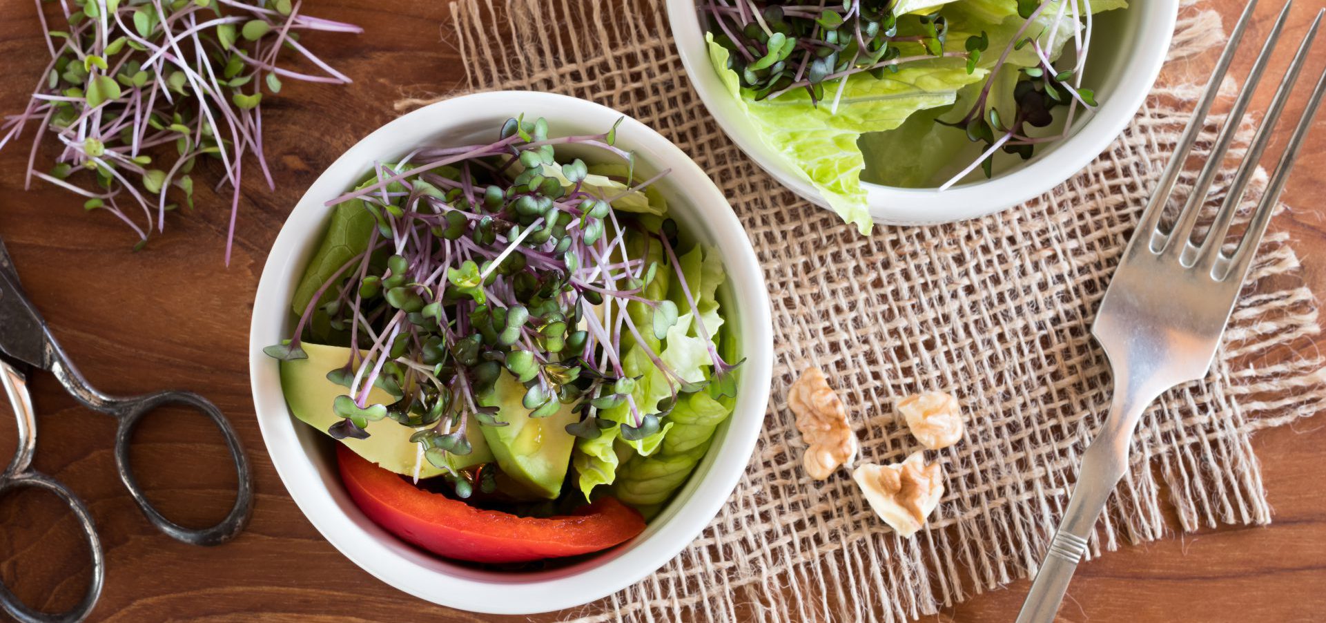 red cabbage Microgreen with avocado salad