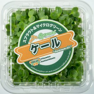 kale microgreen