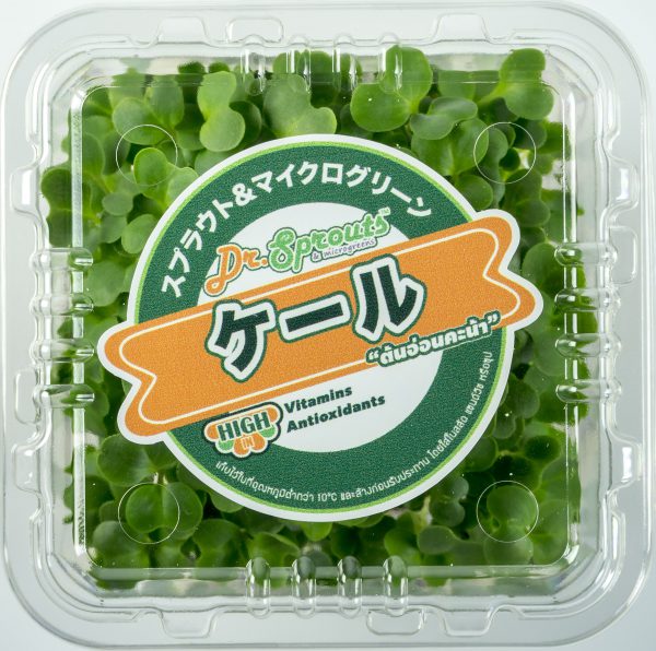 kale microgreen