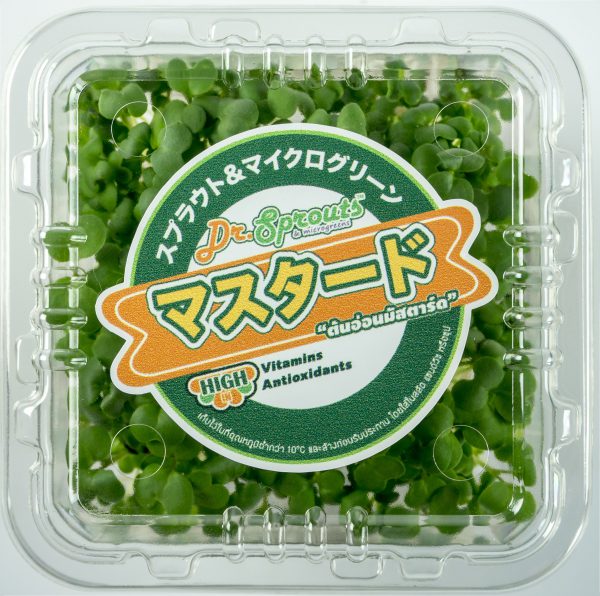 mustard microgreen