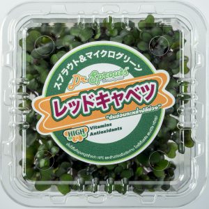 red cabbage microgreen