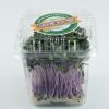 red cabbage microgreen