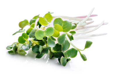 microgreen