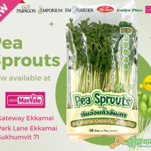 Dou miao Microgreen/ถั่วลันเตาไมโครกรีน